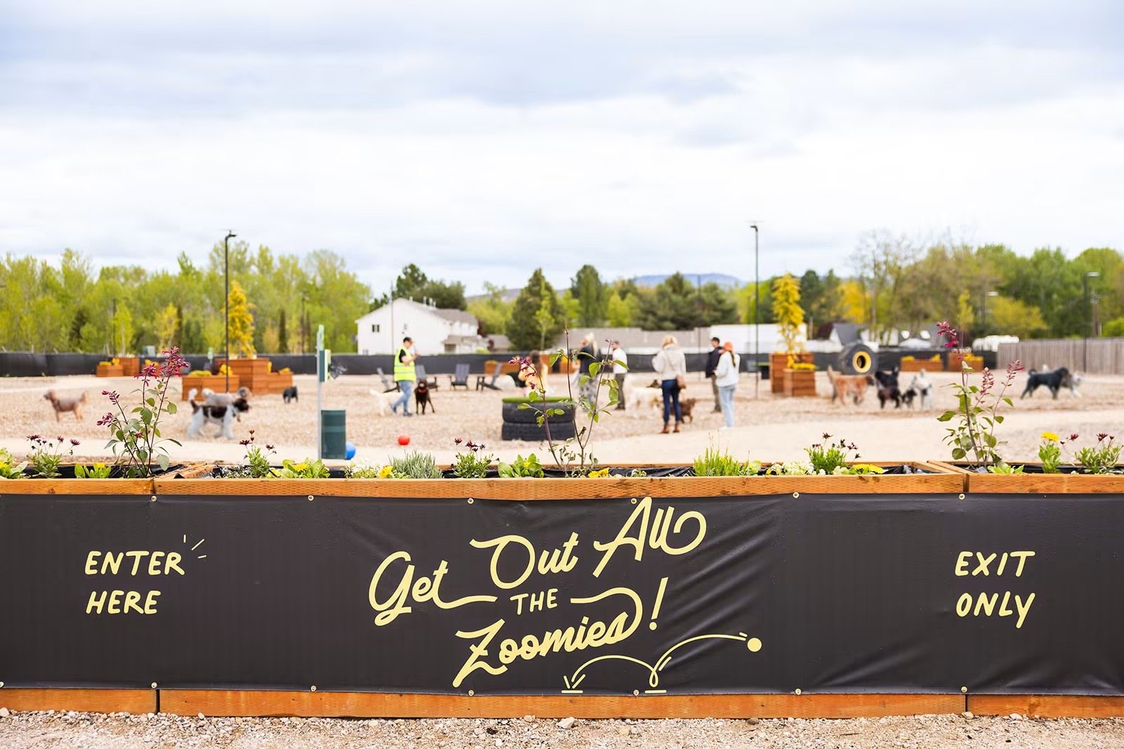 The existing dog yard and community gathering space